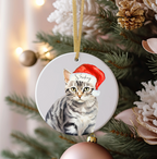 Personalised Cat Christmas Bauble Gift